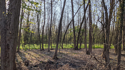 attractions Parcours de Santé du Grubfeld Sélestat