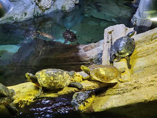 Science Museum «Discovery World», reviews and photos, 500 N Harbor Dr, Milwaukee, WI 53202, USA