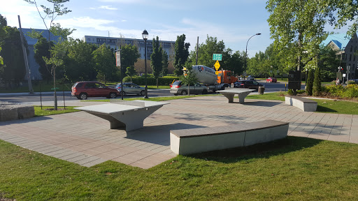 Concrete Ping-Pong Table