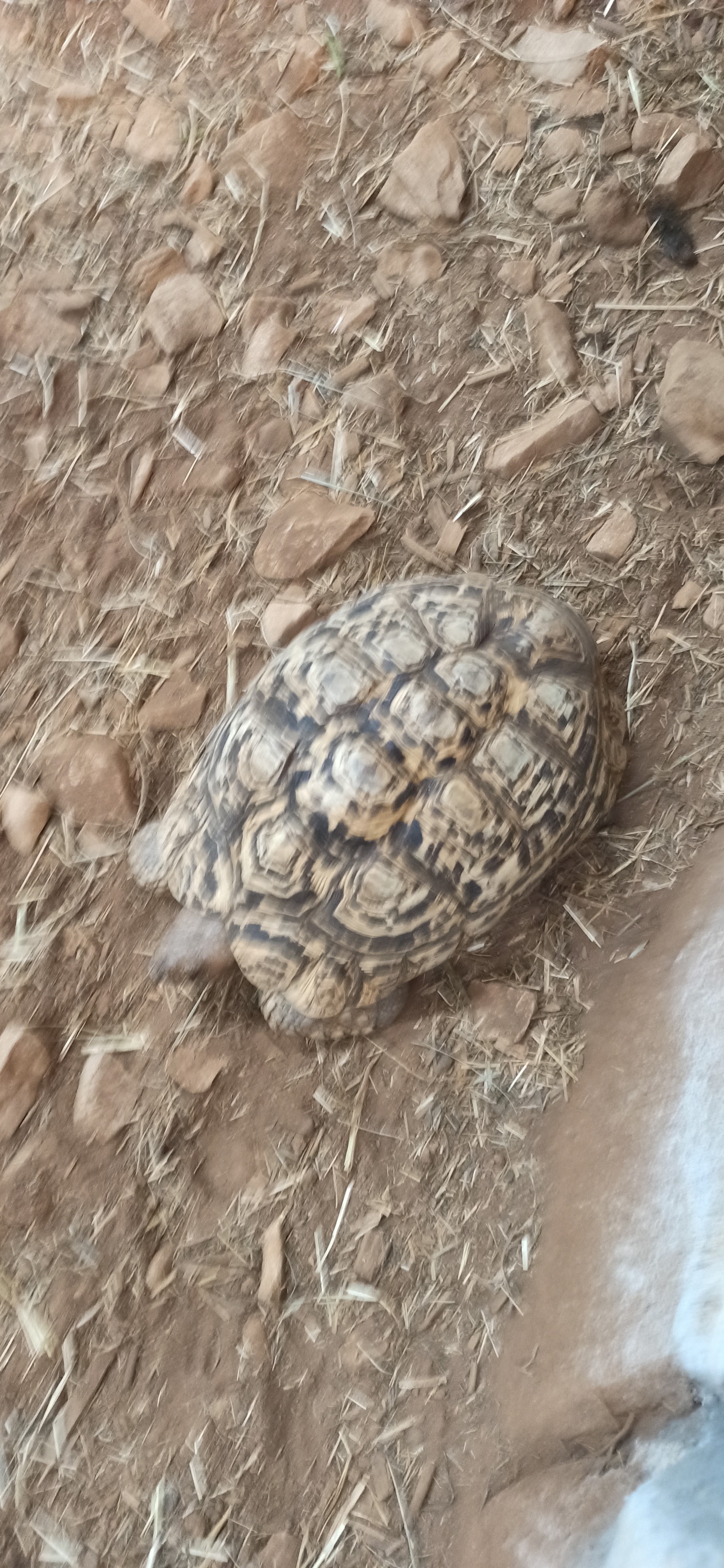 Photo n° 1 de l'avis de Amand.8 fait le 20/07/2023 à 13:02