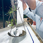 Photo n°2 de l'avis de Sarah.r fait le 24/07/2023 à 21:22 sur le  Trattoria Opera Viva à Stintino