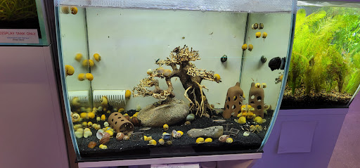 Tropical Fish Store «Old Town Aquarium», reviews and photos, 1538 N Wells St, Chicago, IL 60610, USA