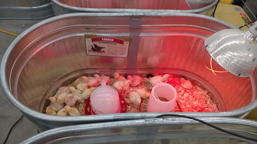 Home Improvement Store «Tractor Supply Co.», reviews and photos, 200 West Marketplace Drive, Bennett, CO 80102, USA