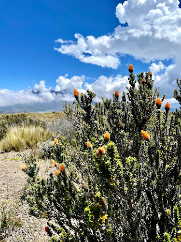 Parque Nacional Cotopaxi - Diseñador de sitios Web