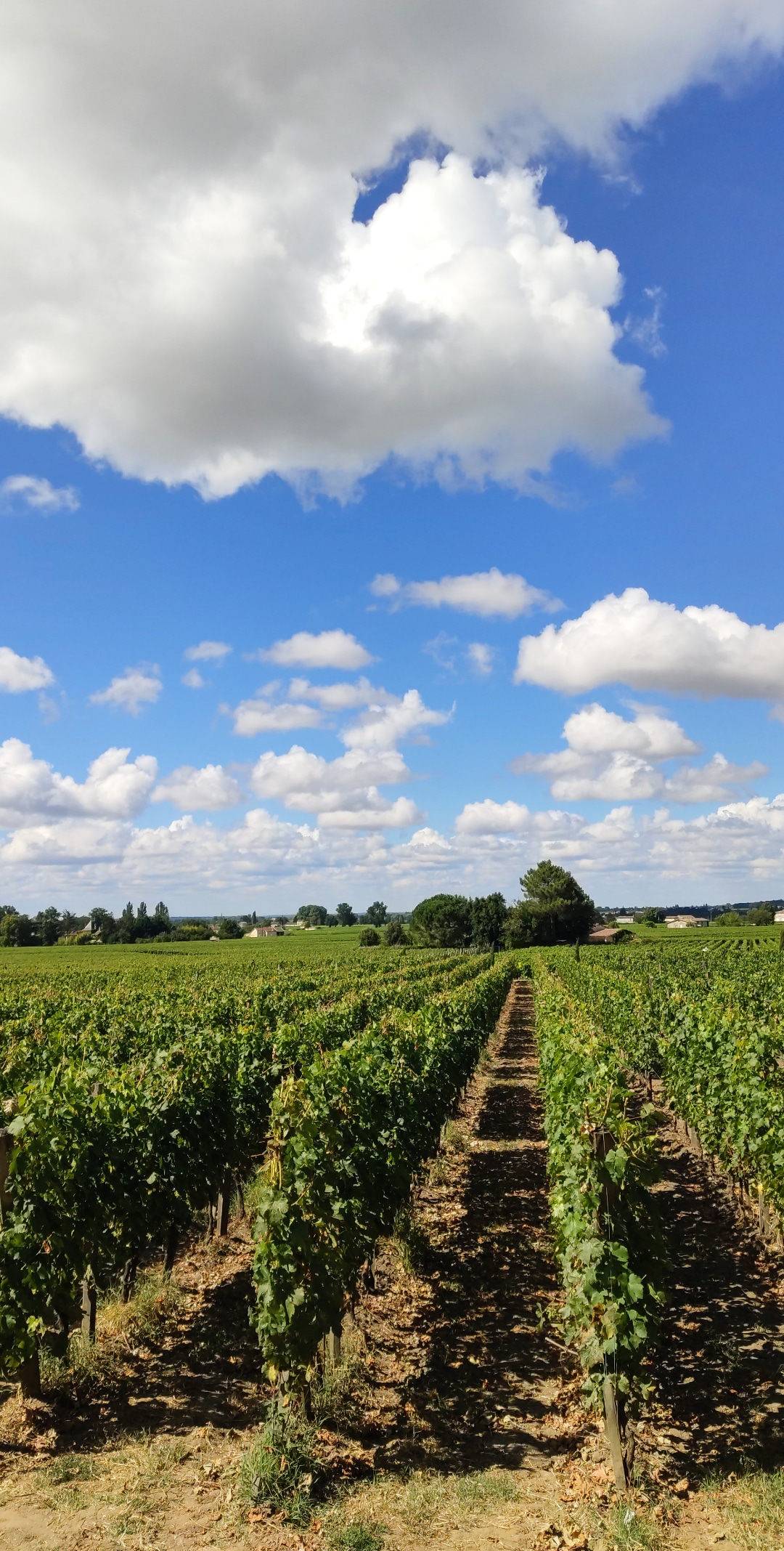 Photo n° 1 de l'avis de Maxime.i fait le 26/07/2020 à 19:24