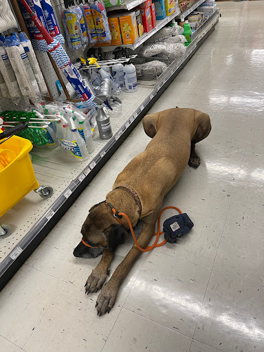 Hardware Store «Antioch Ace Hardware», reviews and photos, 501 Sunset Dr, Antioch, CA 94509, USA