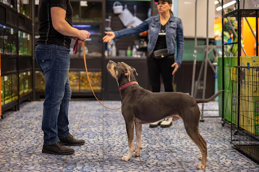 Pet Supply Store «Purely Pets», reviews and photos, 13723 23 Mile Rd, Shelby Charter Township, MI 48315, USA
