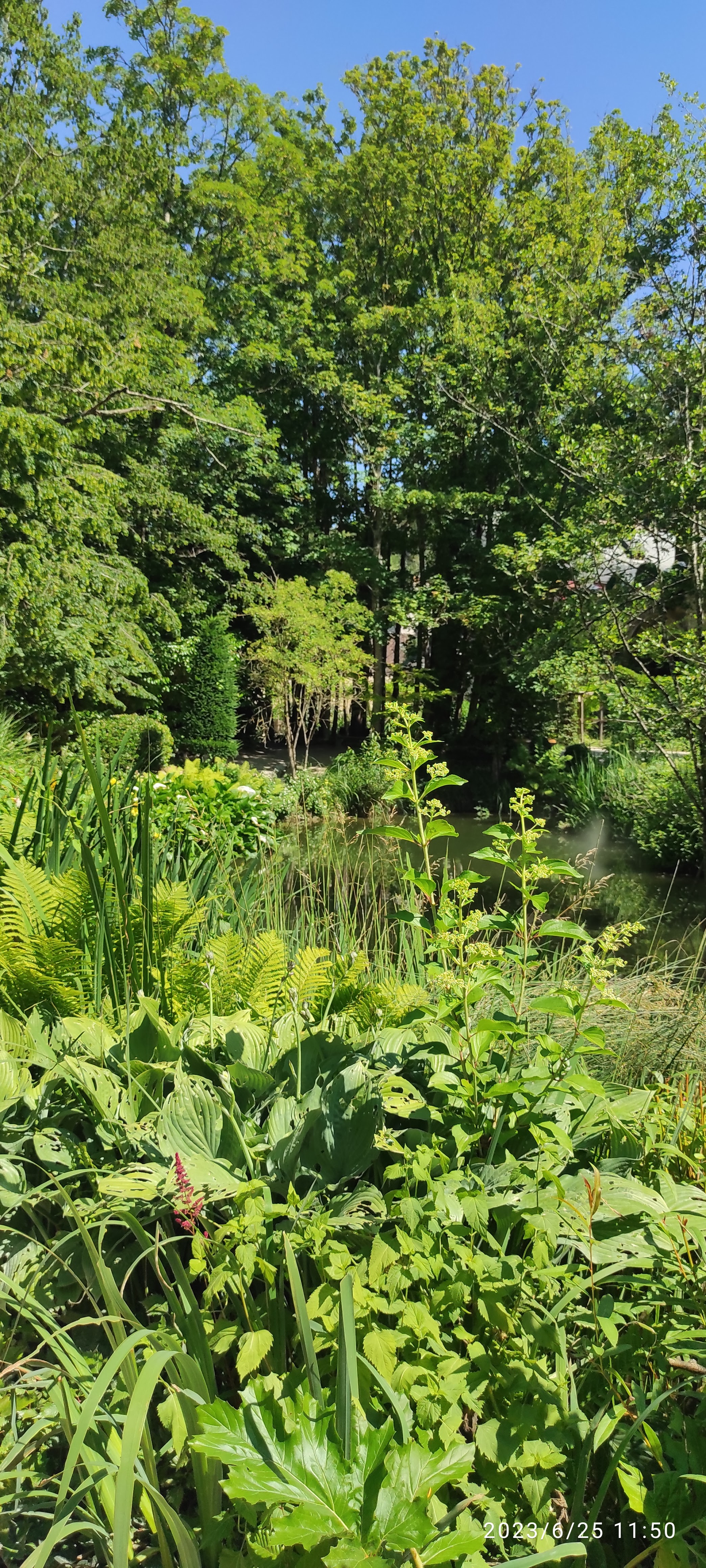 Photo n° 3 de l'avis de Helene.r fait le 25/06/2023 à 10:56