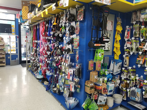 Pet Store «Petland Discounts - Willoughby», reviews and photos, 72 Willoughby St, Brooklyn, NY 11201, USA