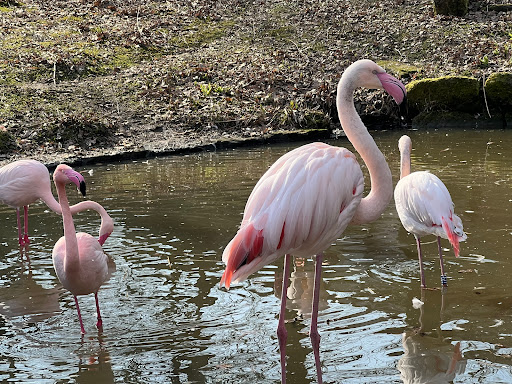 Röhrensee Tierpark unter Bayreuth, 
