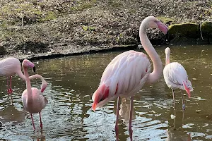 Röhrensee Animal Park image