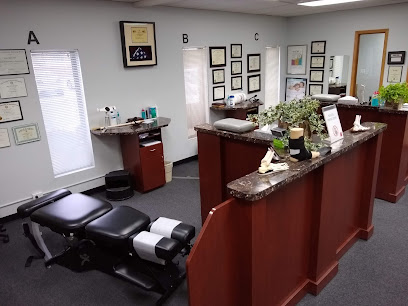 Advanced Physical Medicine and Therapy - Chiropractor in Mt Prospect Illinois