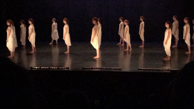 Ballet- en dansschool NIKé vzw - Antwerpen