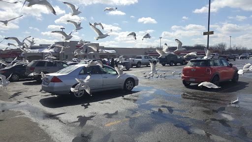 Dollar Store «Dollar Tree», reviews and photos, 3236 PA-940 #107, Mt Pocono, PA 18344, USA