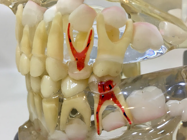 Comentarios y opiniones de Clinica Dental Dra.Carolina Cancino