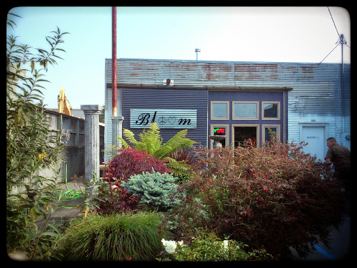 Beauty Salon «Bloom», reviews and photos, 650 6th St, Arcata, CA 95521, USA