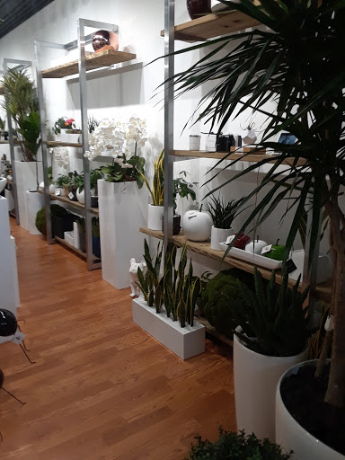 Department Store «Marshalls», reviews and photos, 3200 N Federal Hwy, Fort Lauderdale, FL 33306, USA