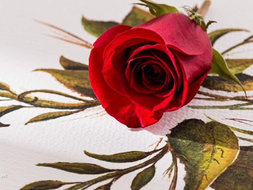 Florist «Watson Flower Shops», reviews and photos, 929 N Val Vista Dr #107, Gilbert, AZ 85234, USA