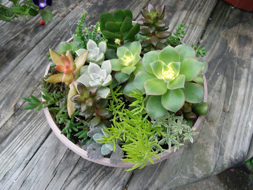 Florist «Davis Florist», reviews and photos, 4201 Locust Ln, Harrisburg, PA 17109, USA