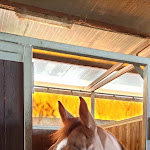 Photo n°4 de l'avis de Pasquale.i fait le 30/10/2023 à 20:49 sur le  Agriturismo Tempa Delle Craste à Battipaglia