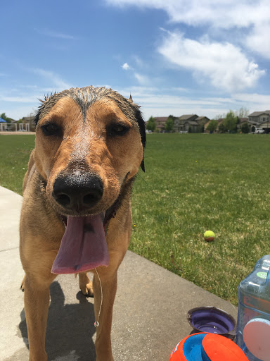 Park «Snowy River Park», reviews and photos, 6152 Snowy River Dr, Colorado Springs, CO 80923, USA