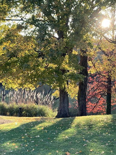 Golf Club «Fox Hollow Golf Club», reviews and photos, 280 Clubhouse Ln, Glasgow, KY 42141, USA