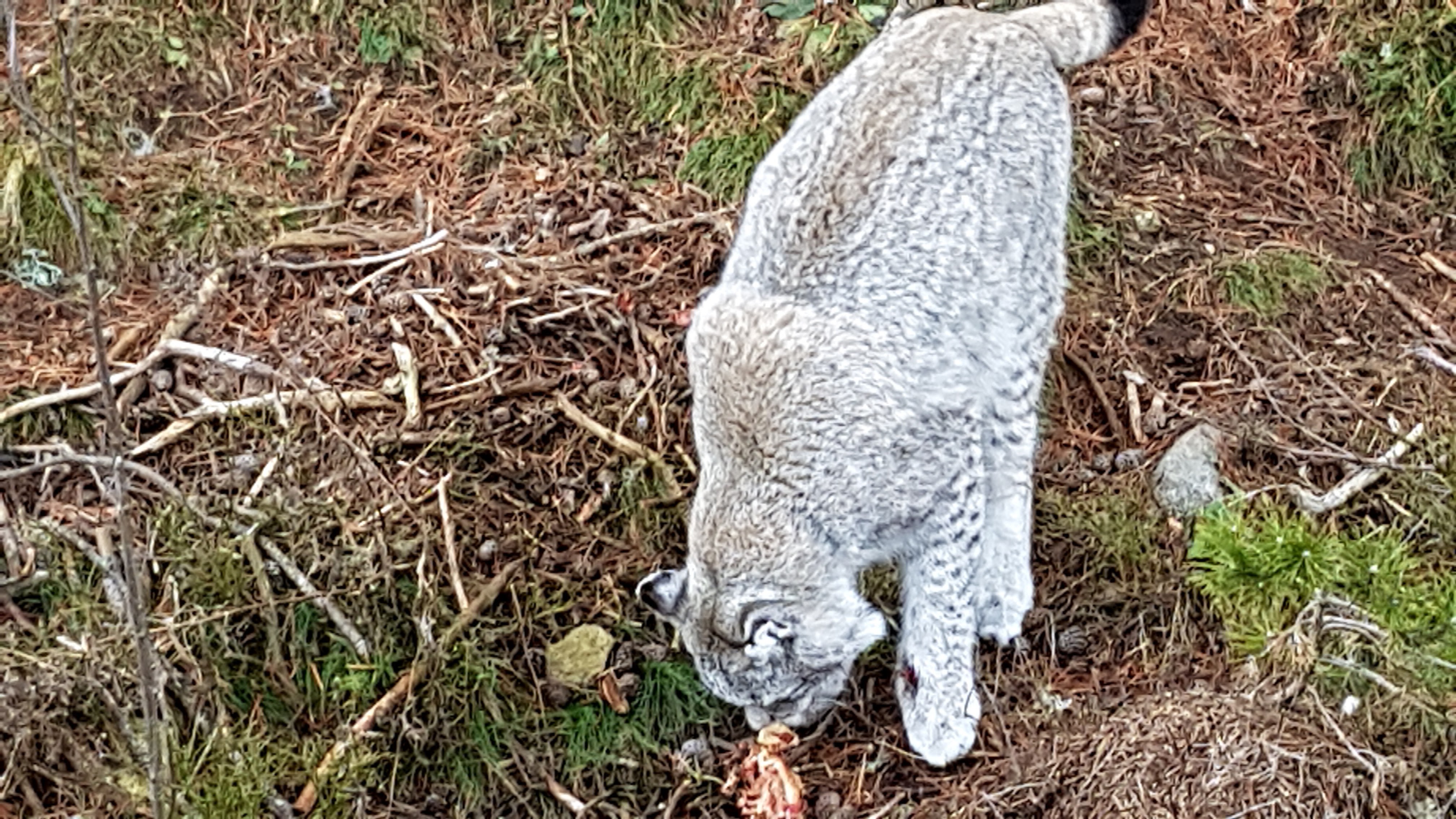 Photo n° 12 de l'avis de Nikolay.H fait le 26/12/2018 à 23:51