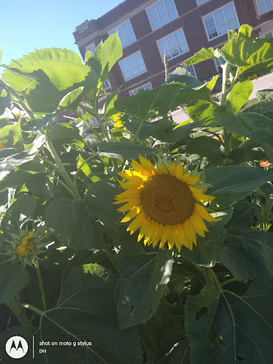 Thrift Store «Second Blessing Thrift Store Inc.», reviews and photos, 2323 Central Ave, Wichita, KS 67214, USA