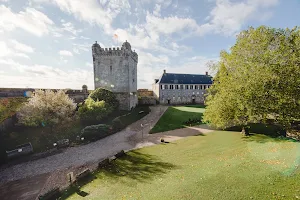 Bentheim Castle image