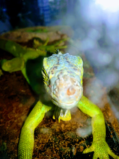 Pet Store «Pets Plus - Quakertown», reviews and photos, 117 S West End Blvd, Quakertown, PA 18951, USA