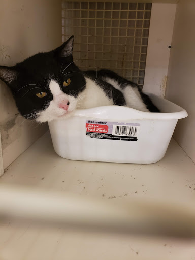 Pet Supply Store «Petco Animal Supplies», reviews and photos, 6596 Youree Dr, Shreveport, LA 71105, USA