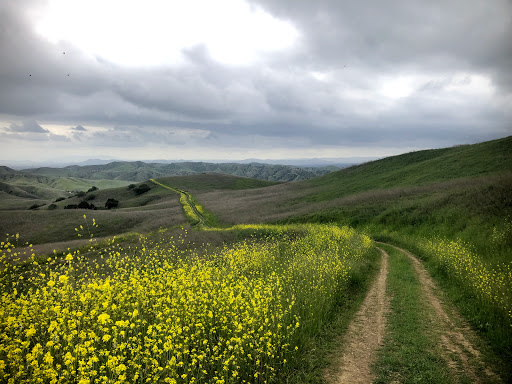 Tourist Attraction «Chino Hills State Park Discovery Center», reviews and photos, 4500 Carbon Canyon Rd, Brea, CA 92823, USA