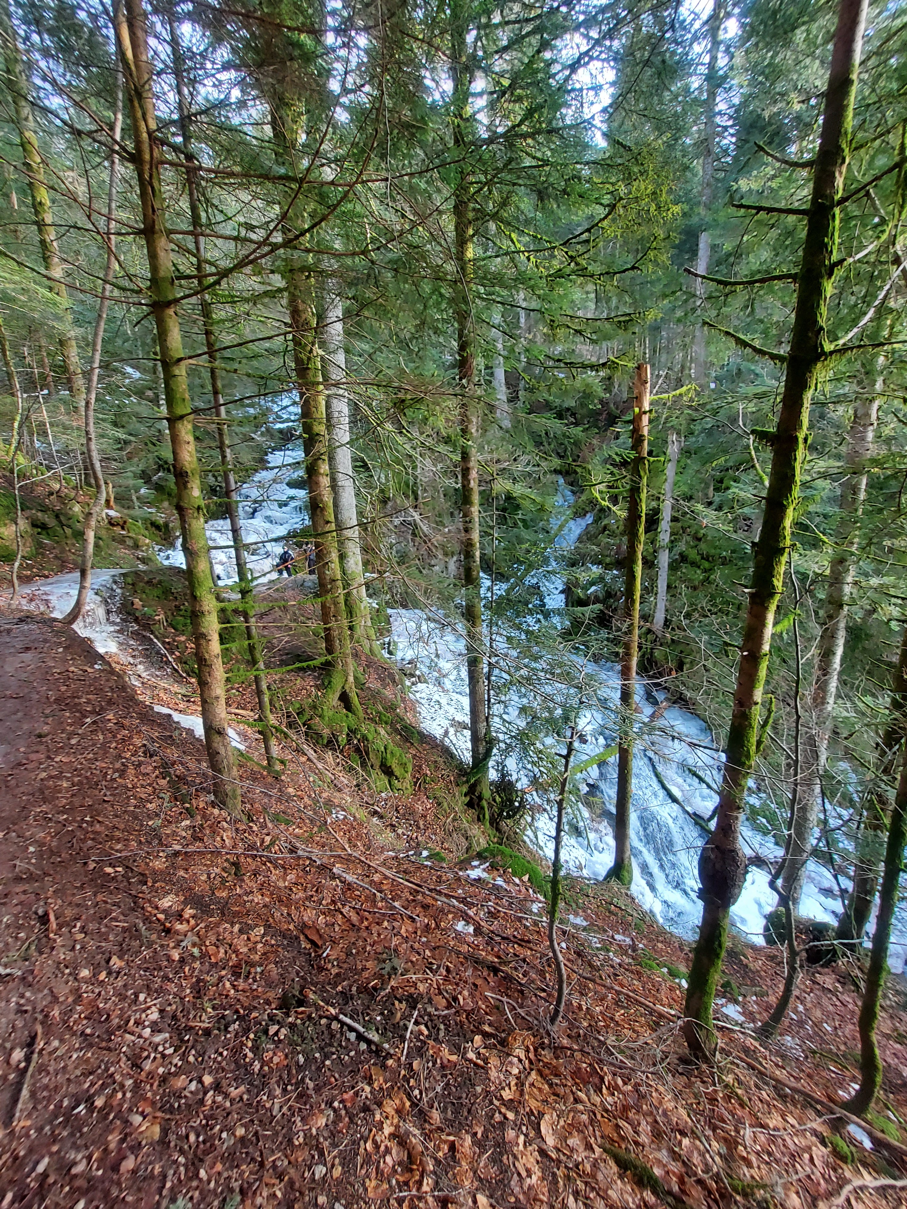 Photo n° 6 de l'avis de Gabio. fait le 17/02/2021 à 18:12