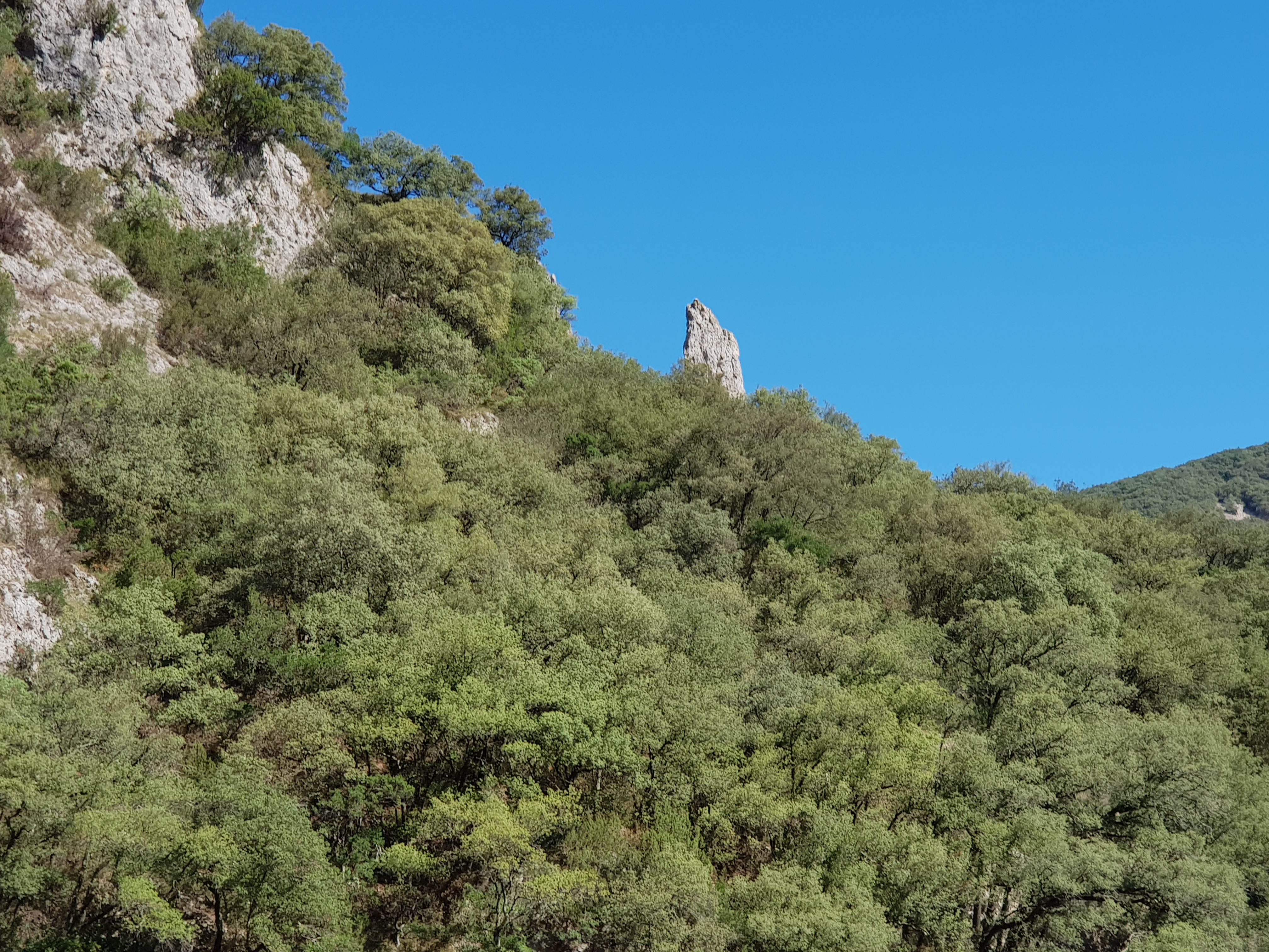 Photo n° 2 de l'avis de Corinne.a fait le 08/09/2018 à 14:52