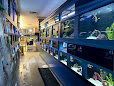Aquariumswholesale - logo