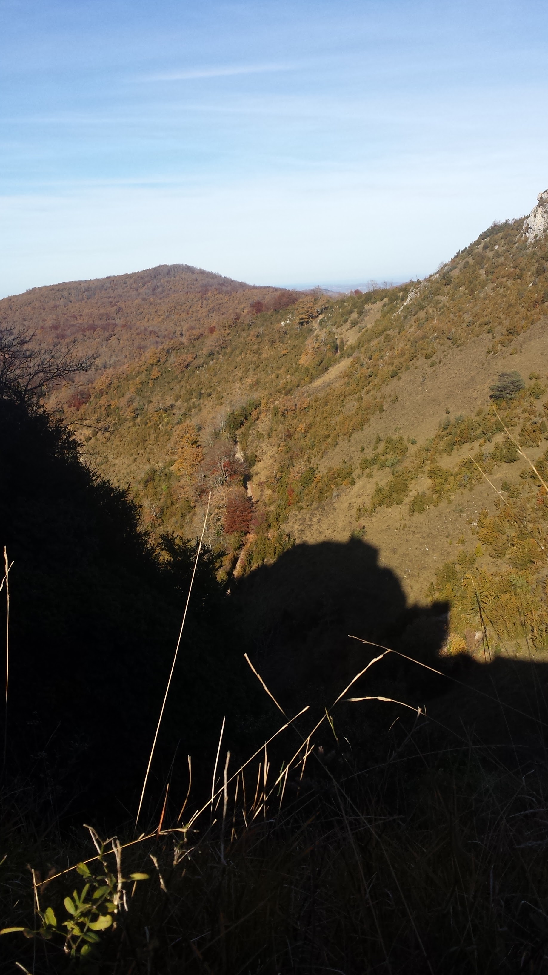 Photo n° 3 de l'avis de Jacques.a fait le 22/11/2017 à 18:46