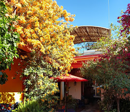 Hotel Posada del Centro photo