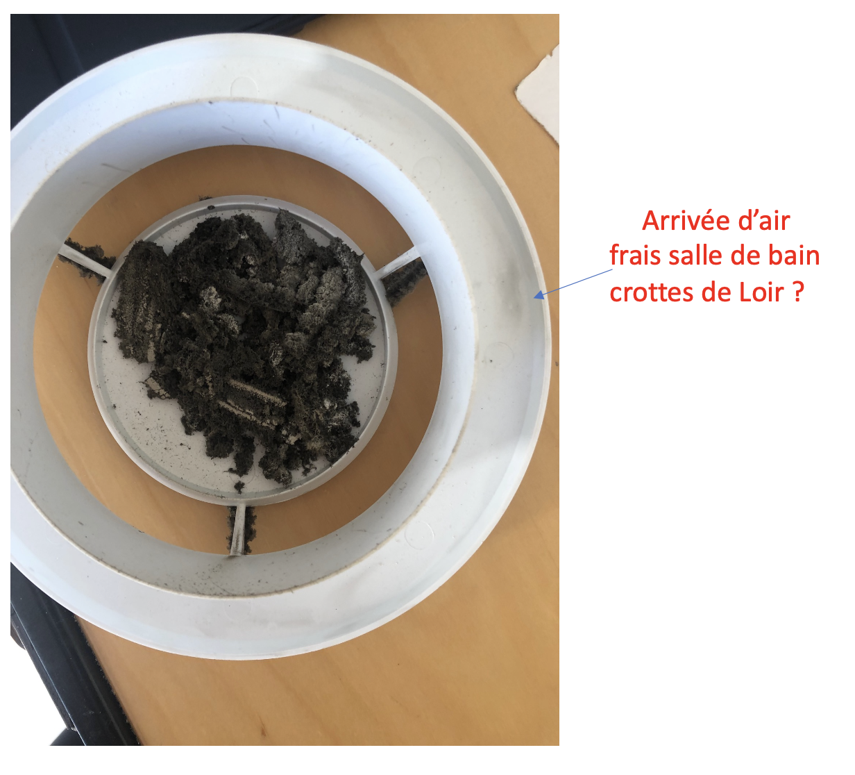 Photo n° 22 de l'avis de Gérard.a fait le 14/10/2022 à 10:53