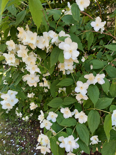 Zoo «Lupa Zoo», reviews and photos, 62 Nash Hill Rd, Ludlow, MA 01056, USA