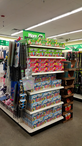 Dollar Store «Dollar Tree», reviews and photos, 3395 Great Neck Rd, Amityville, NY 11701, USA