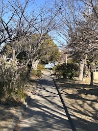 真舟中央公園