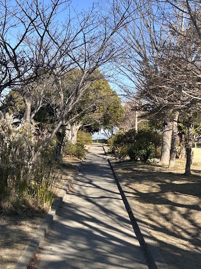 真舟中央公園