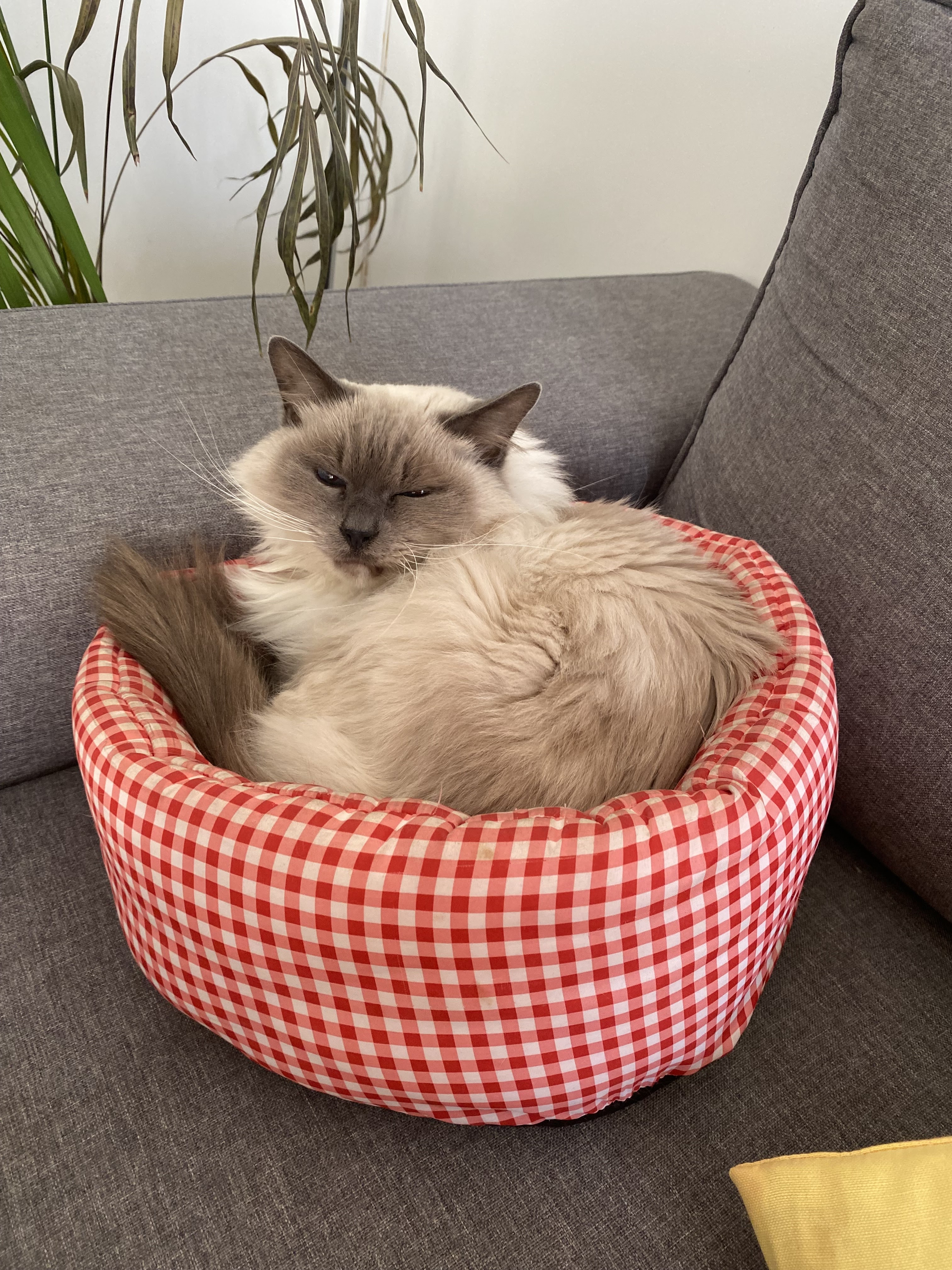 Photo n° 1 de l'avis de Sabrina.a fait le 01/04/2021 à 06:53