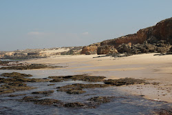 Praia dos Canudos'in fotoğrafı düz ve uzun ile birlikte