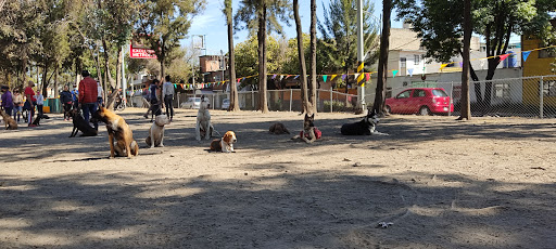 Entrenador de perros Cuautitlán Izcalli