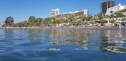 Aphrodite beach'in fotoğrafı kısmen otel alanı