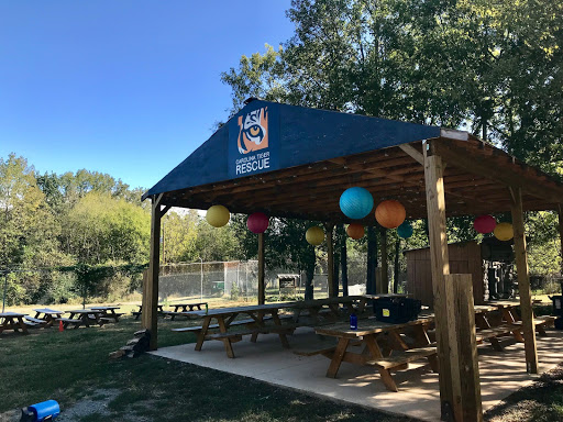 Carolina Tiger Rescue