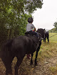Best Horse Riding Nearby Reading Near You