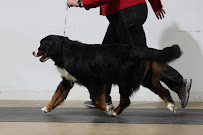 K Corbitt Photography - Photo 3 - Car repair in , Newport News