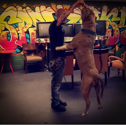 Live Music Venue «The Original Speakeasy Cannabis Club», reviews and photos, 2508 E Bijou St, Colorado Springs, CO 80909, USA